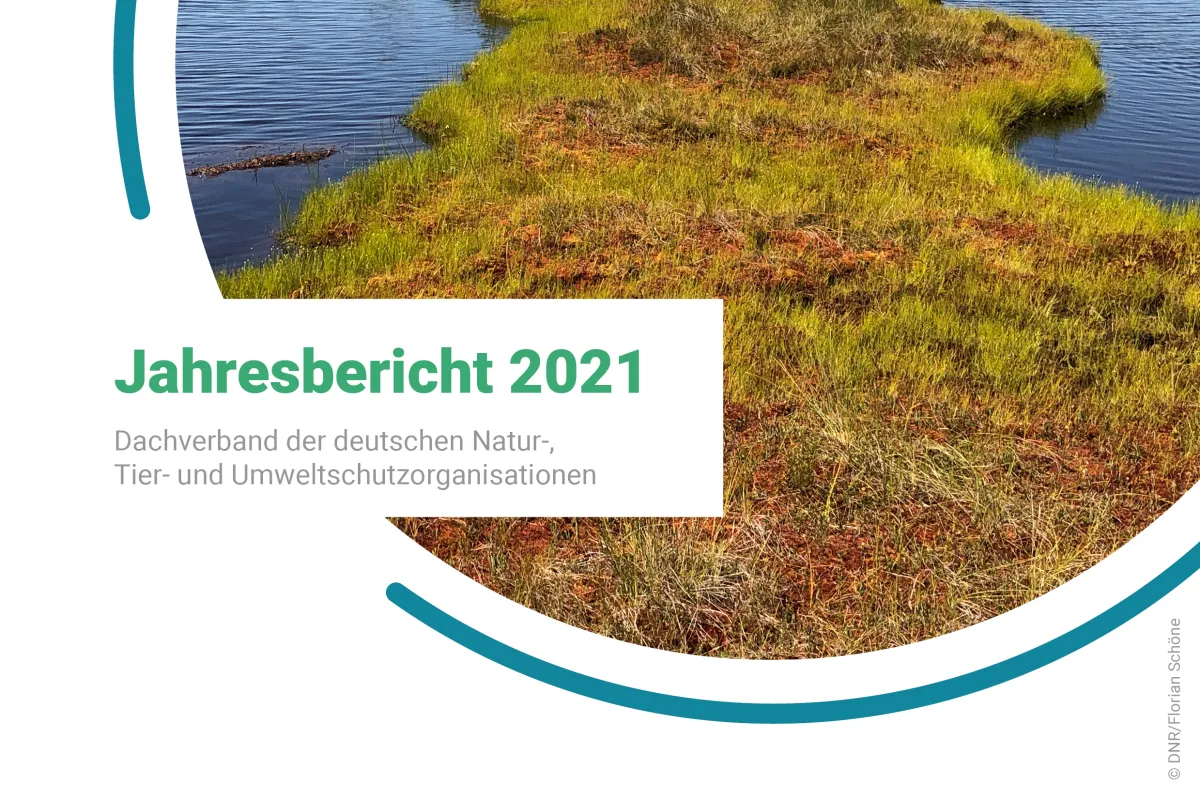 DNR-Jahresbericht 2021
